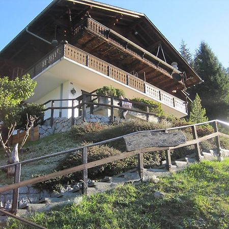 Appartement Chalet Erica à Jaun Extérieur photo
