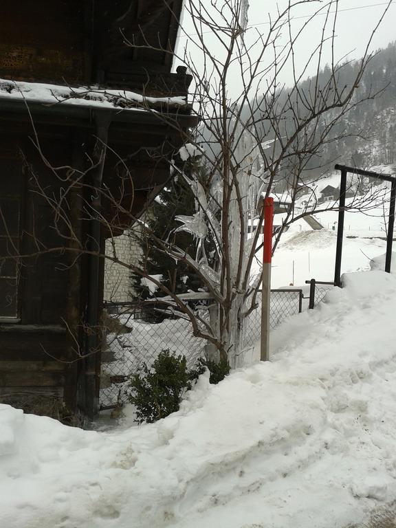 Appartement Chalet Erica à Jaun Extérieur photo