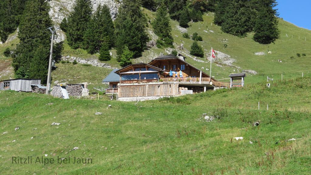 Appartement Chalet Erica à Jaun Extérieur photo