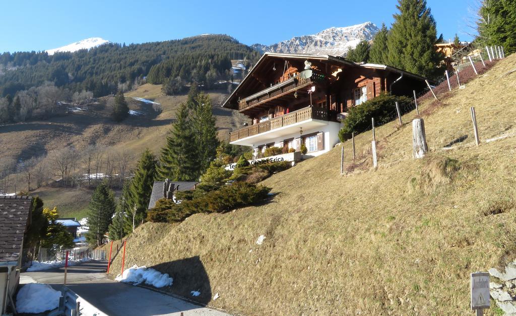 Appartement Chalet Erica à Jaun Extérieur photo